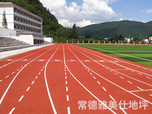 銅仁中學(xué)塑膠跑道、草坪